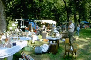 La Roche Animation : Vide-grenier