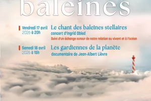 Café nature, à la découverte des baleines