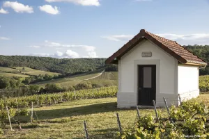 Escapade à la Thiodelle