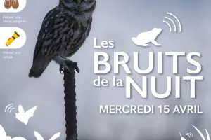 Animation Nature "Les bruits de la nuit"