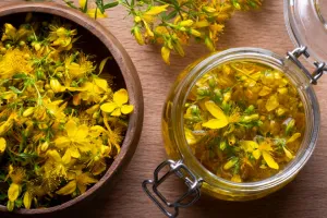 Cuisinons les plantes sauvages