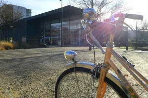 Atelier : En roue libre sur les vitres