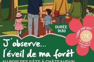 Balade famille - J'observe l'éveil de ma forêt