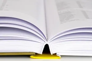 Conférence : Les langues de France et la question de la nature histoire et enjeux contemporains