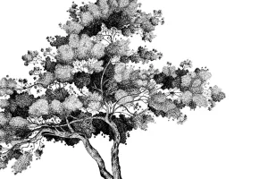 Exposition "les arbres"