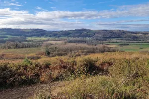 Biodivélo : Roulons à tire d'ailes vers les landes d'Abos et les papillons présents !