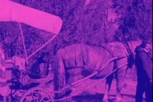 COLO ÉTÉ ITINÉRANTE