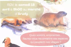 Fêtons la biodiversité : la biodiversité dans tous ses états