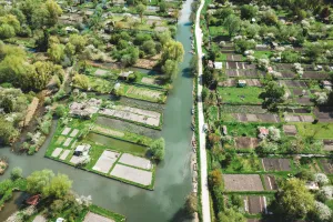 Visite guidée à pied - Les marais dans la ville