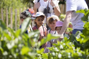 Les p'tits ateliers du printemps