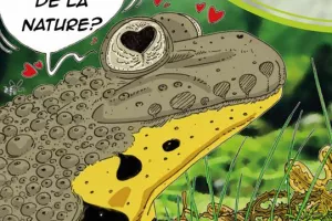 Offrir le gîte aux hérissons