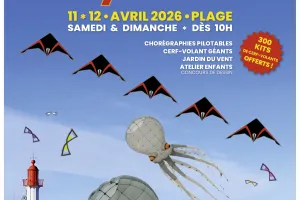 16e Festival du cerf-volant de Trouville-sur-Mer