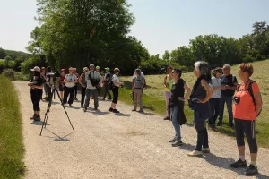 Sortie ornithologique grand public