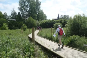Randonnée pédestre "Le Bois sent bon" à Souesmes