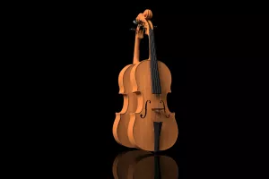 Concert Fédémuse : Trio à cordes