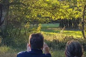 À l'affût des cerfs