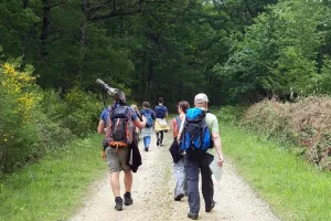 Initiation aux chants d'oiseaux