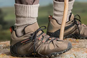 Sortie avec le Club Vosgien du Kochersberg : Forêt de Gresswiller