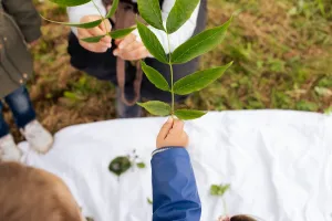 Sortie nature : balade sensorielle, spéciale 18 mois / 4 ans