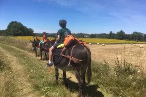 Animation "multi-activités" autour des ânes.