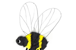 Mon chien Tornade en pleine tempête !