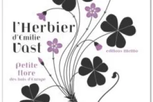 A la découverte du monde d'Emilie Vast, à la Médi@tech