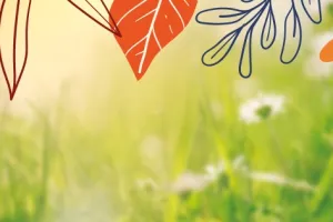 Vues sur une île de Loire