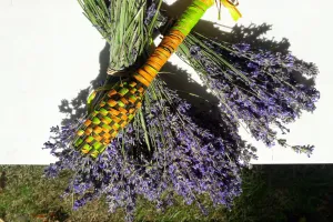 Fête de la lavande à Martel