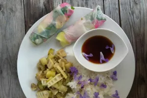 Cueillette et cuisine sauvage