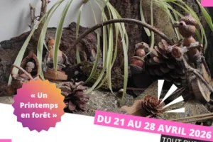 Exposition Les Petits bonshommes des bois
