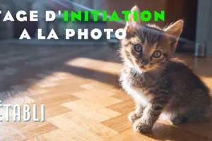 Stage : Initiation à la Photographie
