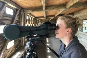 Stage ornithologique à la journée