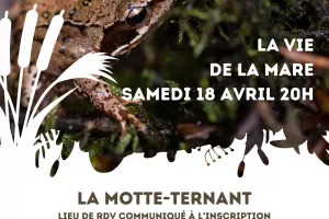 Sortie nature "La vie de la mare"