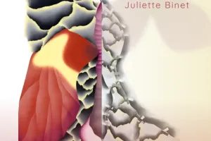 Exposition : Papillons