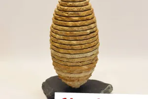 Exposition de sculptures modernes, par Marc Mugnier