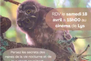 Fêtons la biodiversité : A la rencontre des chouettes de nos villages