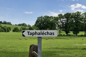 Théâtre "Taphaleschas"